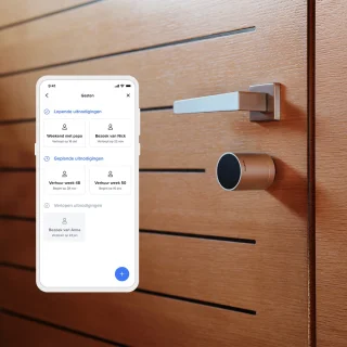 Netatmo Slim Elektrisch Deurslot Silver