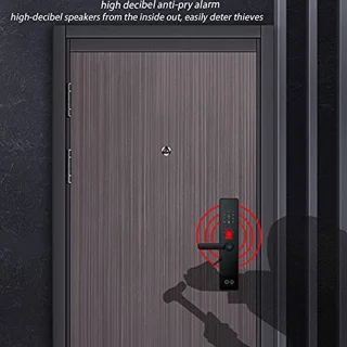 Organic Keyless Entry Zinc Alloy Door Lock