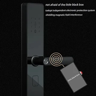 Organic Keyless Entry Zinc Alloy Door Lock