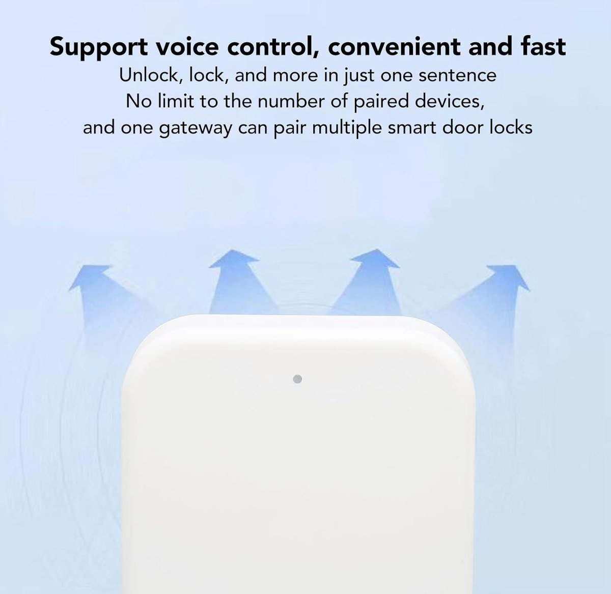Smart Door Lock WiFi Gateway TTLock Voice Control