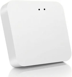 Tuya Gateway Deurslot Hub