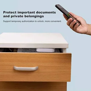 Tuya Smart Lock Kast- en Ladevergrendeling