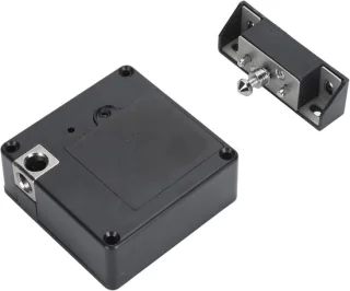 Verborgen elektronisch kastslot