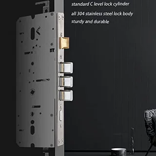 Zinc Alloy Biometric Keyless Door Lock