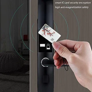 Zinc Alloy Biometric Keyless Door Lock