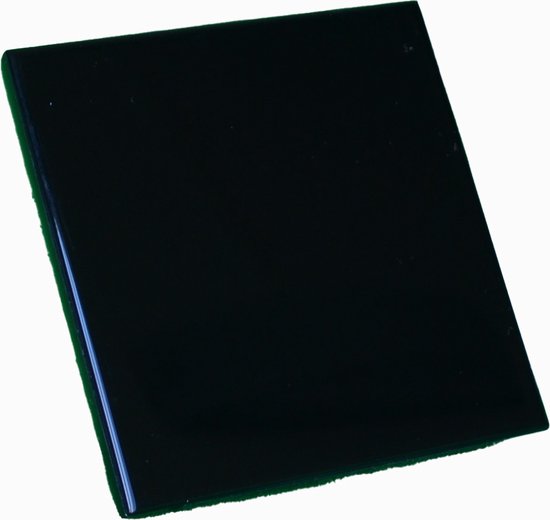 Budget Thermostaat Model 3 review