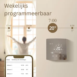 MKSS® CV-thermostaat Zilver