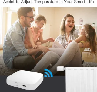 Moes Radiatorknop Thermostaatknop Wit