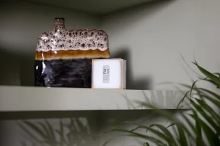 Netatmo NTH-PRO slimme thermostaat