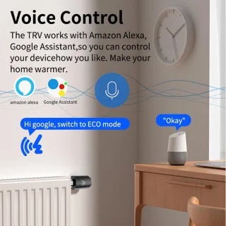 Programmeerbare Thermostatische Radiatorklep