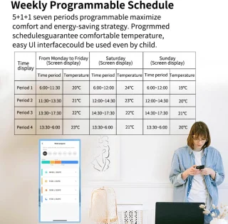 Programmeerbare Thermostatische Radiatorklep