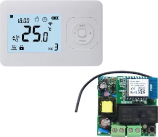 QH Basic Programmeerbare Draadloze Schakelaar met Mini Ontvanger