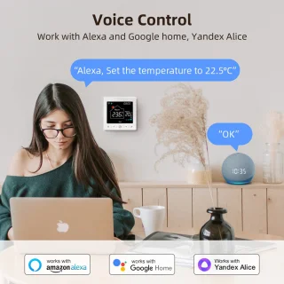 Slimme Thermostaat RF Wit 3amp USB-C & AAA Voeding