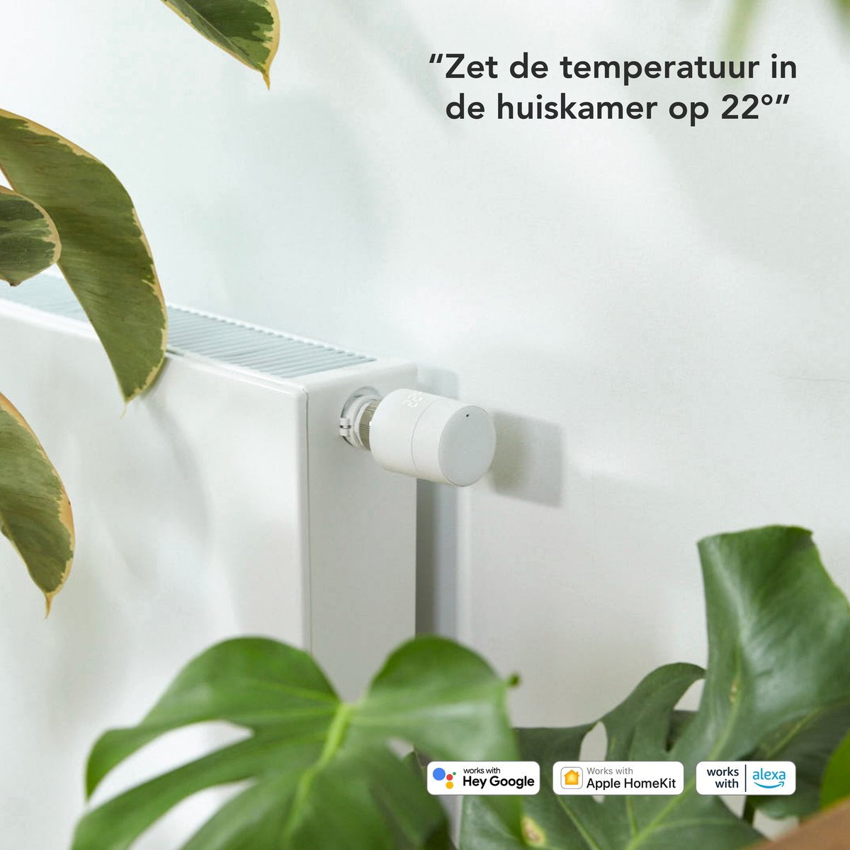 Advies voor kopers
