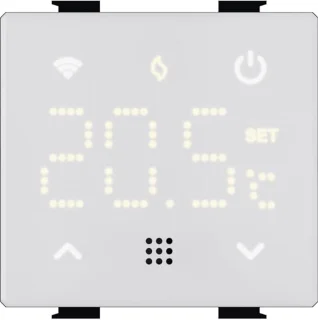 Thermostaat 2P 240V