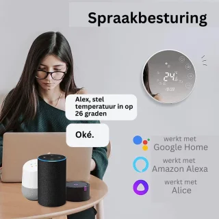 Wat vinden we goed aan de Thermostaat voor cv