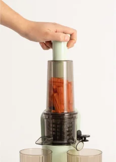 Slowjuicer - Sapcentrifuge - Slow Juicer - Juicer - Groente En Fruit - Pastel Groen