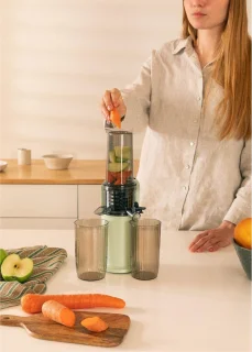 Slowjuicer - Sapcentrifuge - Slow Juicer - Juicer - Groente En Fruit - Pastel Groen