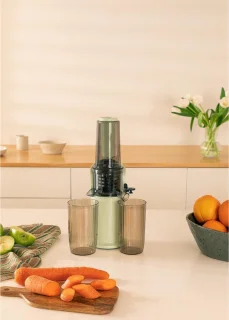 Slowjuicer - Sapcentrifuge - Slow Juicer - Juicer - Groente En Fruit - Pastel Groen