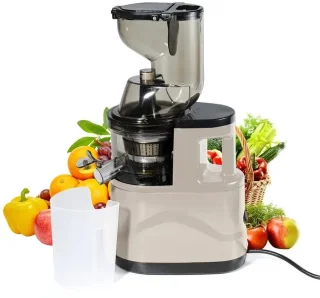 TrendWave SlowJuicer – Cold Press Juicer – Juicer voor groenten en fruit – Sapcentrifuge voor groenten & fruit – Stil & BPA-vrij