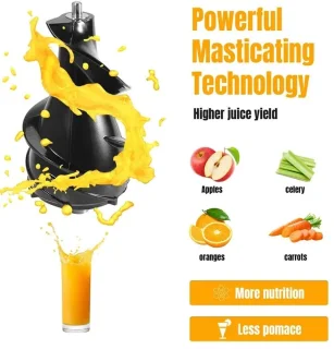TrendWave SlowJuicer – Cold Press Juicer – Juicer voor groenten en fruit – Sapcentrifuge voor groenten & fruit – Stil & BPA-vrij
