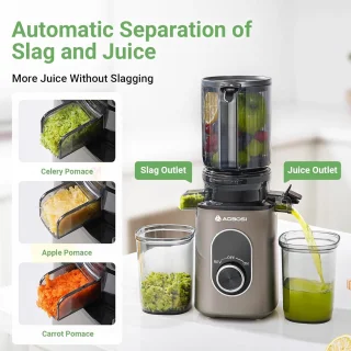 Sapcentrifuge Koud Pers Masticating Juicer met Grote Drinkopening - Efficiënte Slow Juice Extractor voor Fruit en Groenten, Eenvoudig schoon te maken