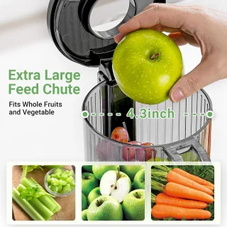 Sapcentrifuge Koud Pers Masticating Juicer met Grote Drinkopening - Efficiënte Slow Juice Extractor voor Fruit en Groenten, Eenvoudig schoon te maken