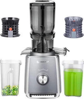 Slow Juicer met 103 mm Brede Vulopening en 250W voor Groenten en Fruit