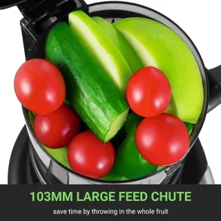 Slow Juicer met 103 mm Brede Vulopening en 250W voor Groenten en Fruit
