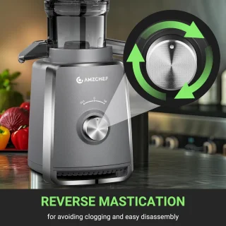 Slow Juicer met 103 mm Brede Vulopening en 250W voor Groenten en Fruit