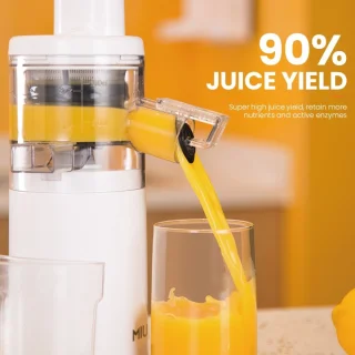 Bolture Slowjuicer - Juicer - Blender - Sapcentrifuge - Fruitpers - Smoothie - Wit