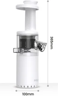 Bolture Slowjuicer - Juicer - Blender - Sapcentrifuge - Fruitpers - Smoothie - Wit