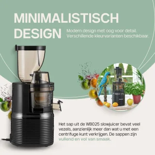4SWISS BM202 Slow Juicer