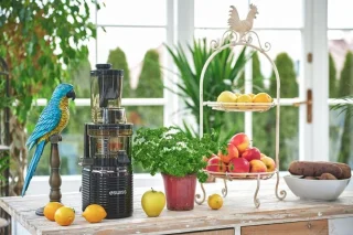 4SWISS BM202 Slowjuicer