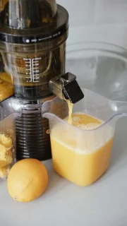 4SWISS BM202 Slowjuicer