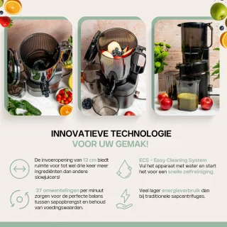 4Swiss WB025 Slowjuicer Graphite