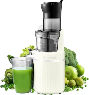 AAOBOSI® Mini Slowjuicer