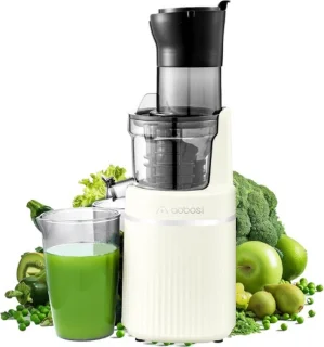 AAOBOSI® Mini Slowjuicer