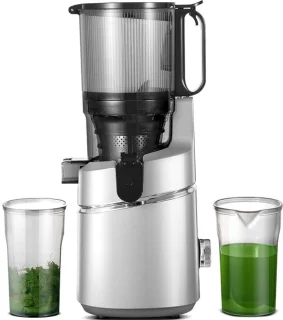 AMZCHEF Slowjuicer Sapcentrifuge Zilver
