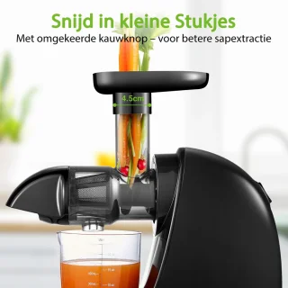 AMZCHEF Slowjuicer Sapcentrifuge - Zwart