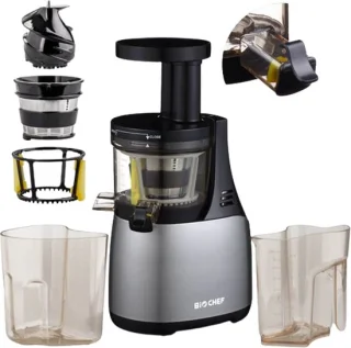 BIOCHEF Synergy Slowjuicer Zilver 150W