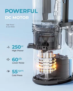 Cold Press Juicer 250W