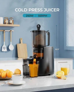 Cold Press Juicer 250W