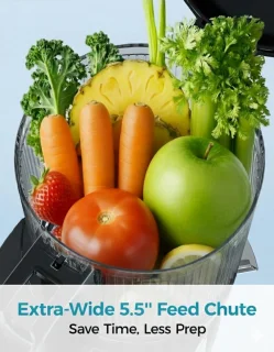 Cold Press Juicer 250W