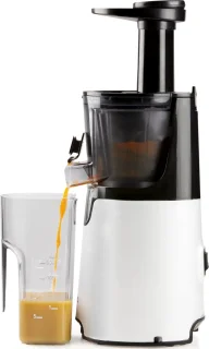 Domo DO9248J Slow Juicer Wit/Zwart