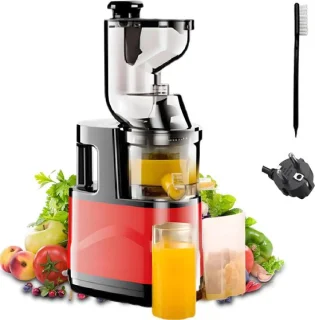 Elektrische Slowjuicer 500W voor Groente en Fruit