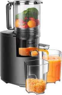 Elektrische slowjuicer zwart