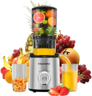 Exreizst MP-802P slow juicer