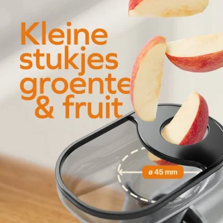 KitchenBrothers Slowjuicer Compact Grijs