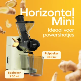 KitchenBrothers Slowjuicer Mini Juicer